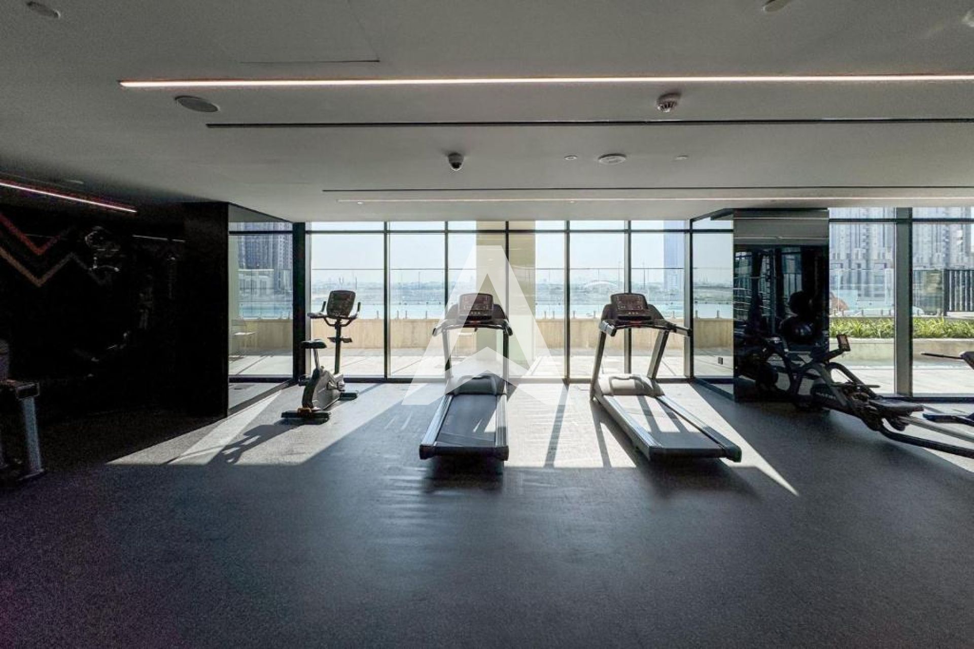 Displayed image from the thumbnail slider