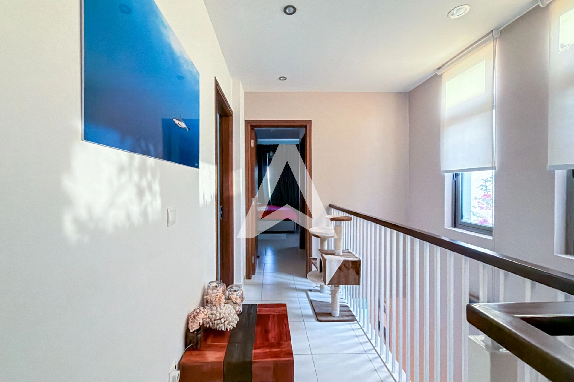 Displayed image from the thumbnail slider