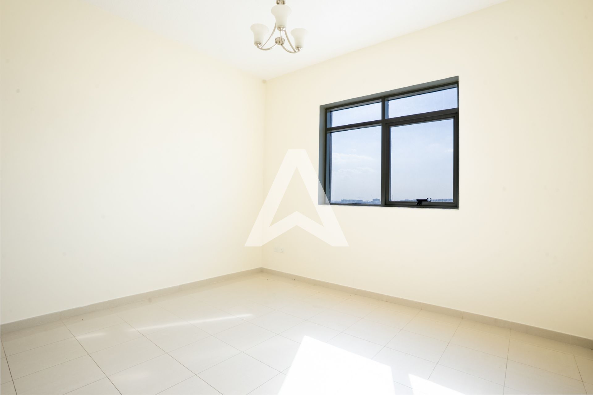 Displayed image from the thumbnail slider