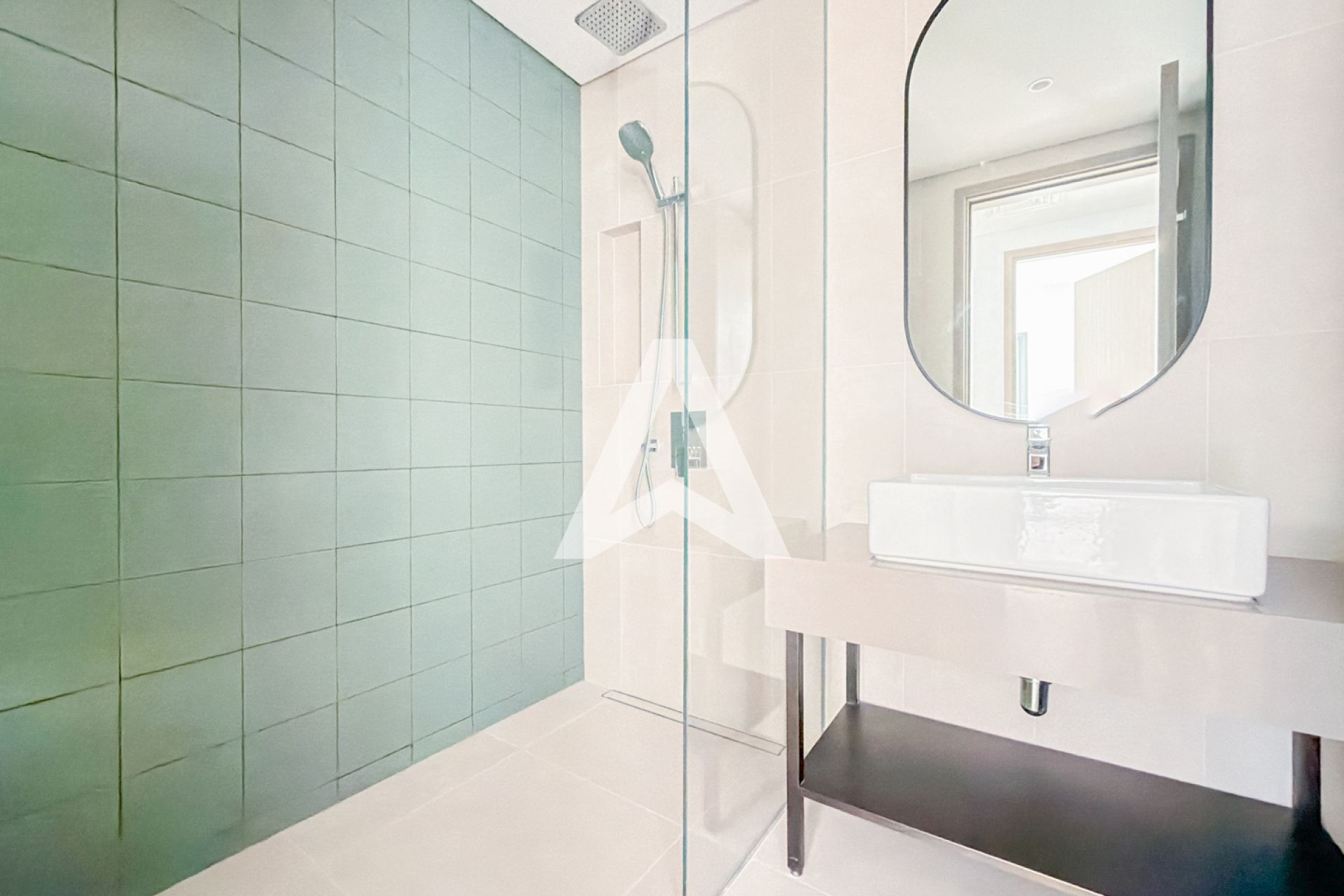 Displayed image from the thumbnail slider