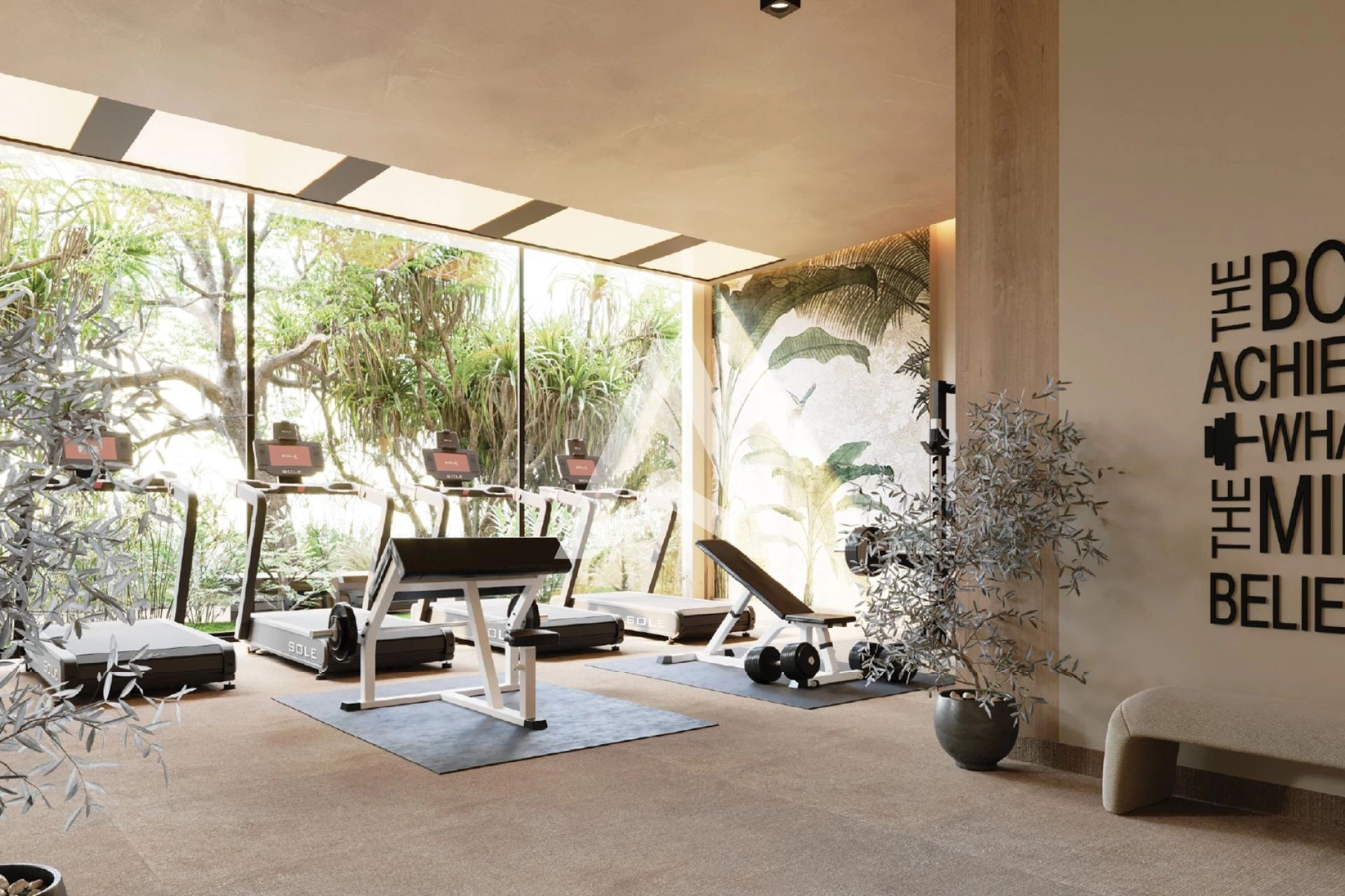 Displayed image from the thumbnail slider