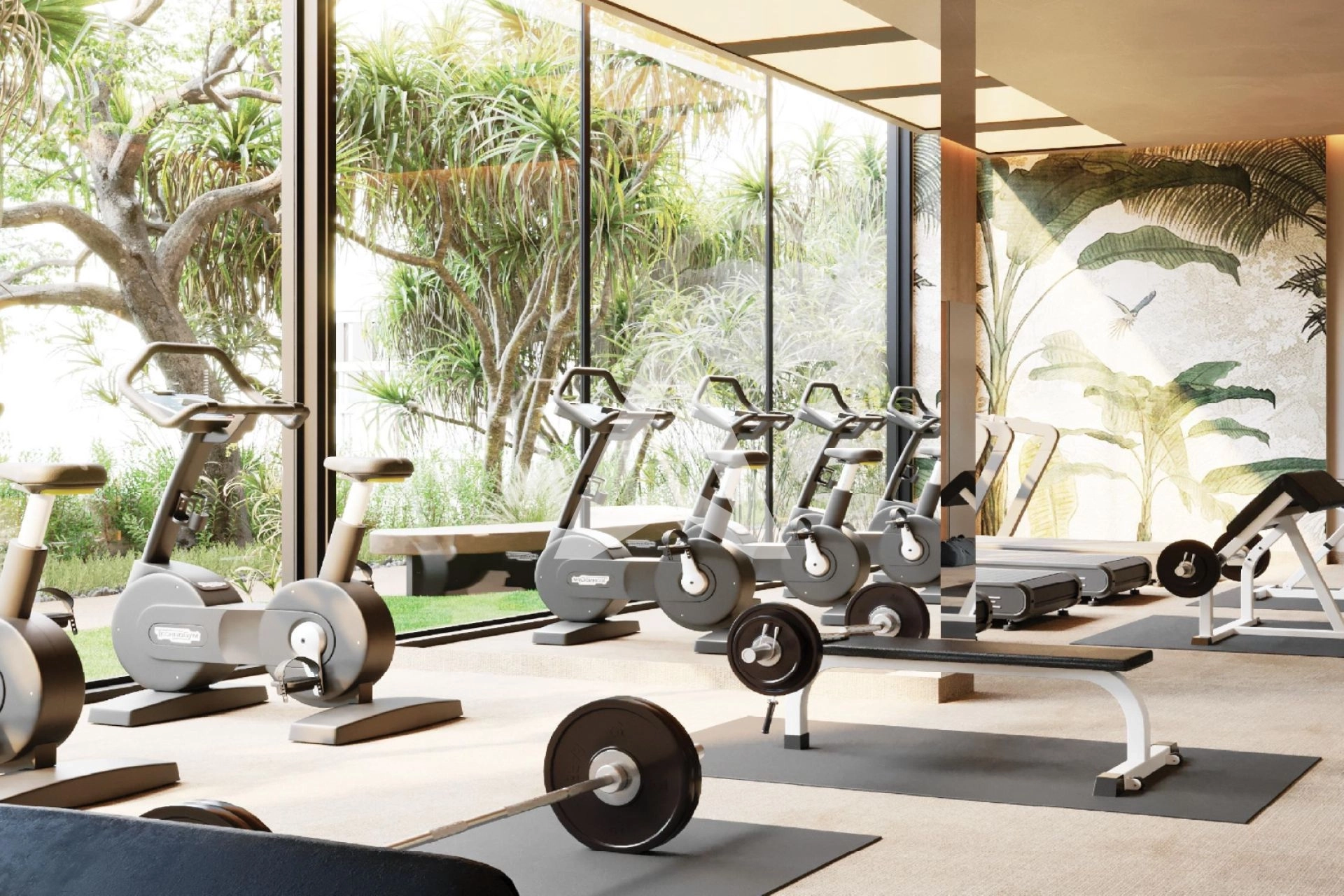 Displayed image from the thumbnail slider