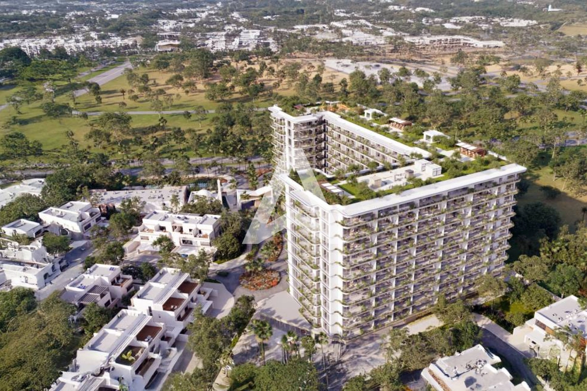 Displayed image from the thumbnail slider