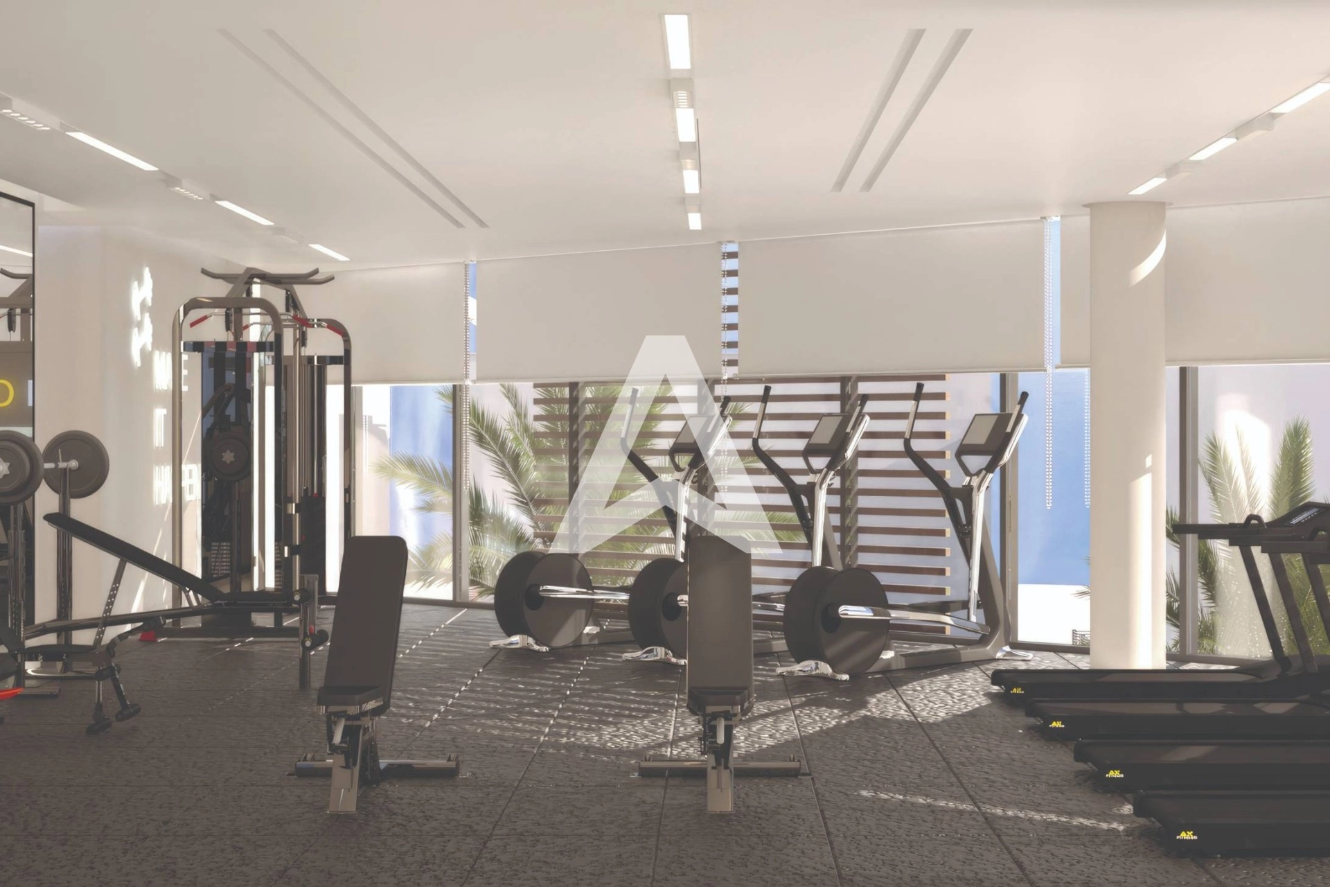 Displayed image from the thumbnail slider