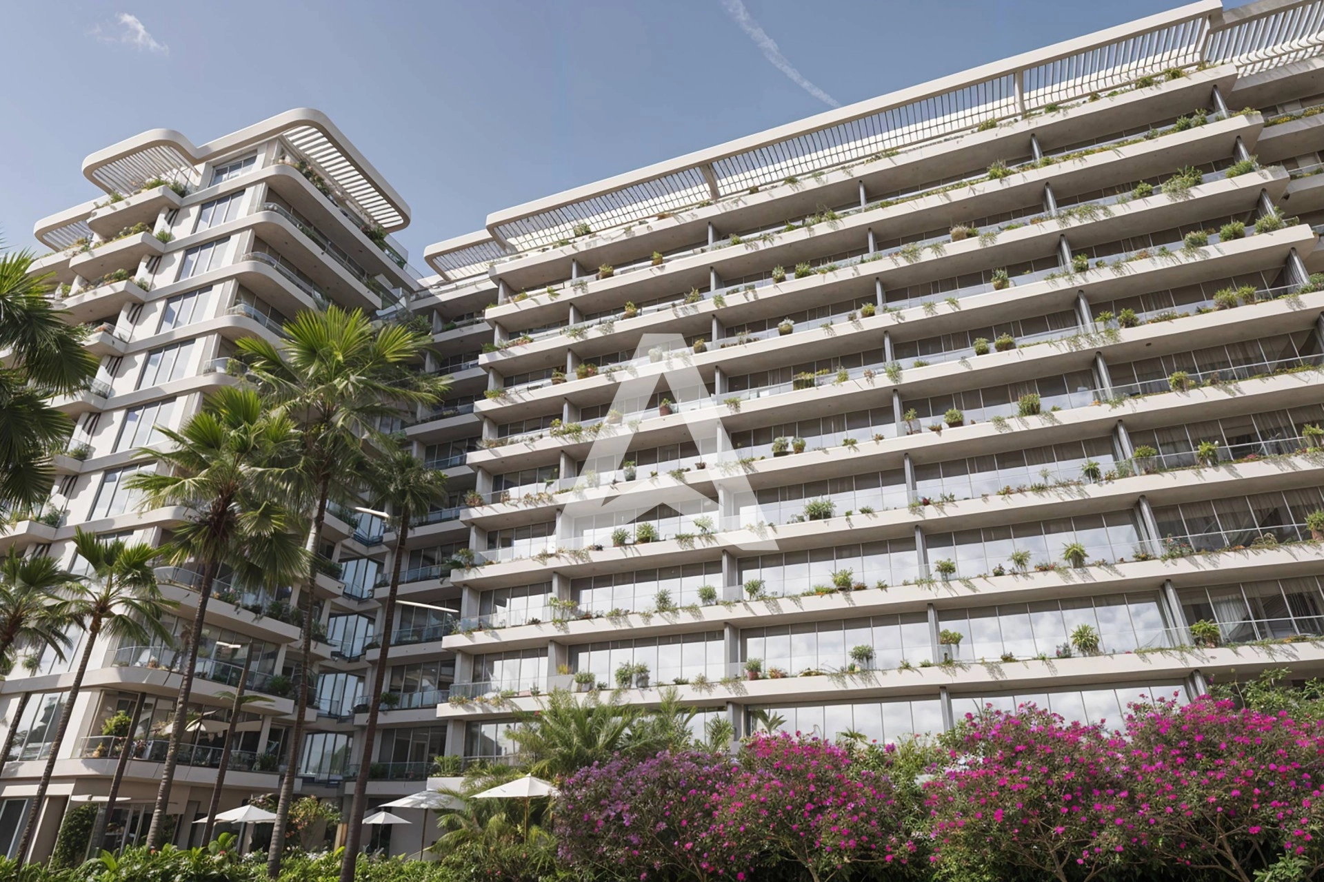 Displayed image from the thumbnail slider