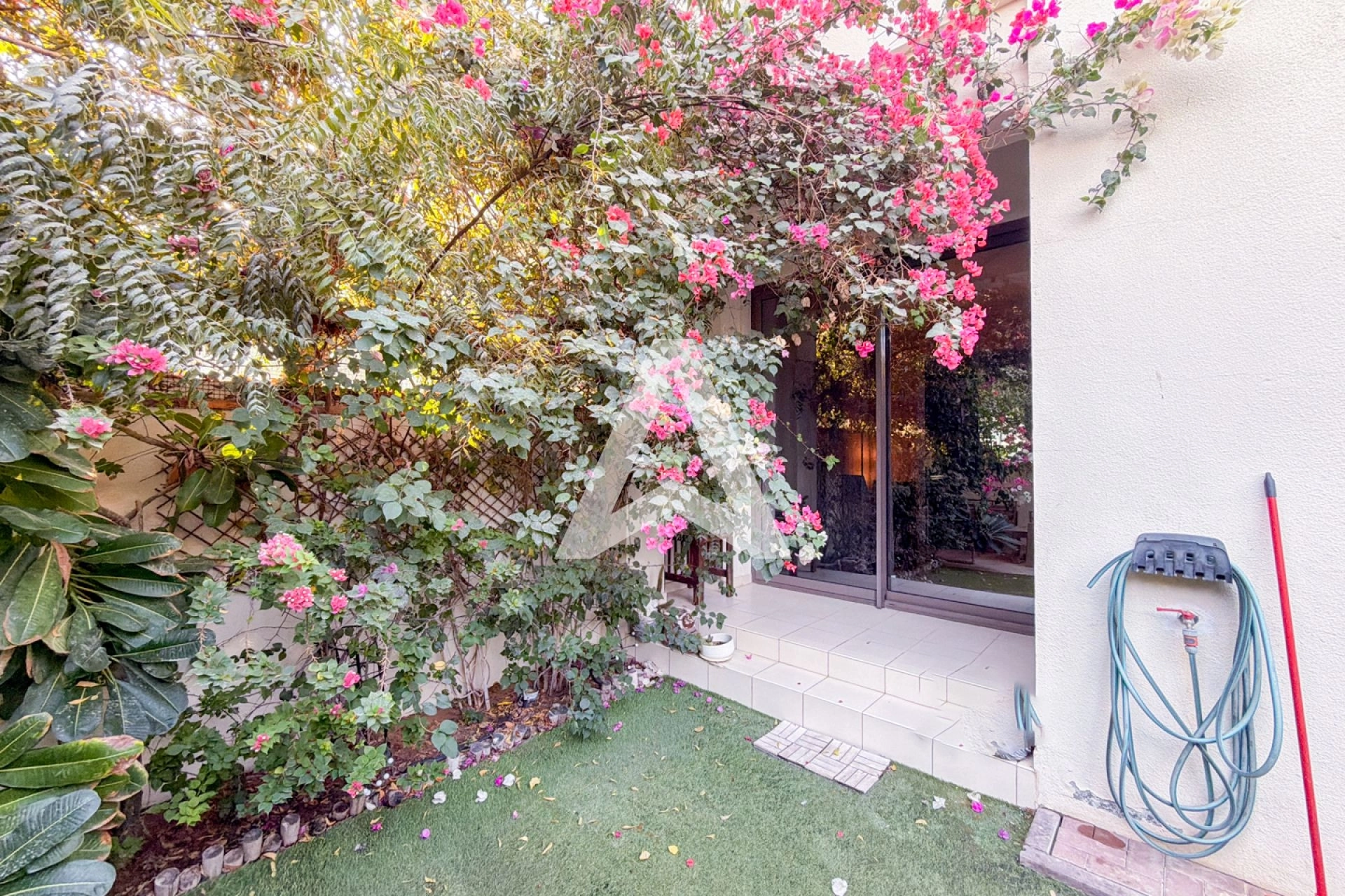 Displayed image from the thumbnail slider