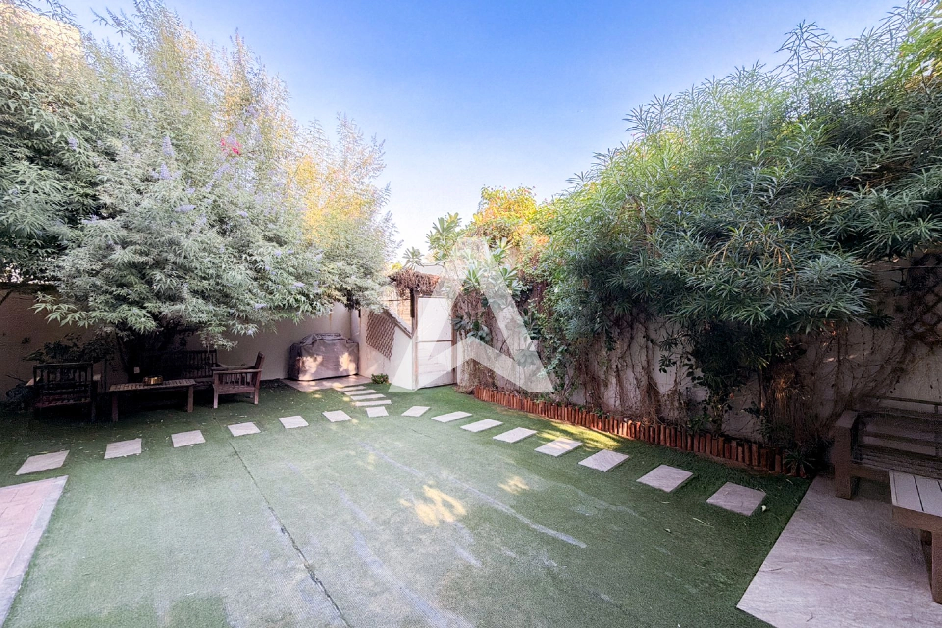 Displayed image from the thumbnail slider