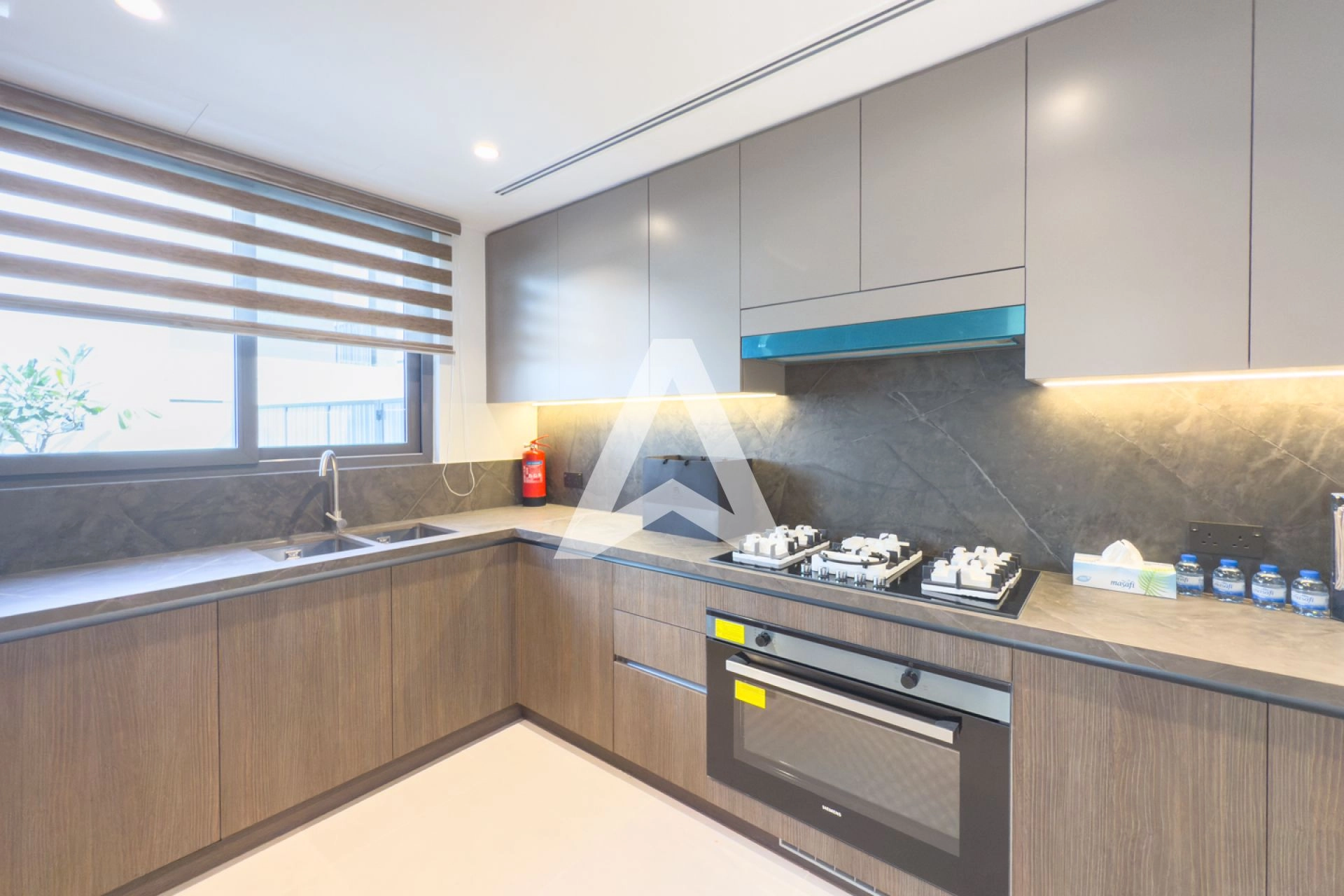 Displayed image from the thumbnail slider