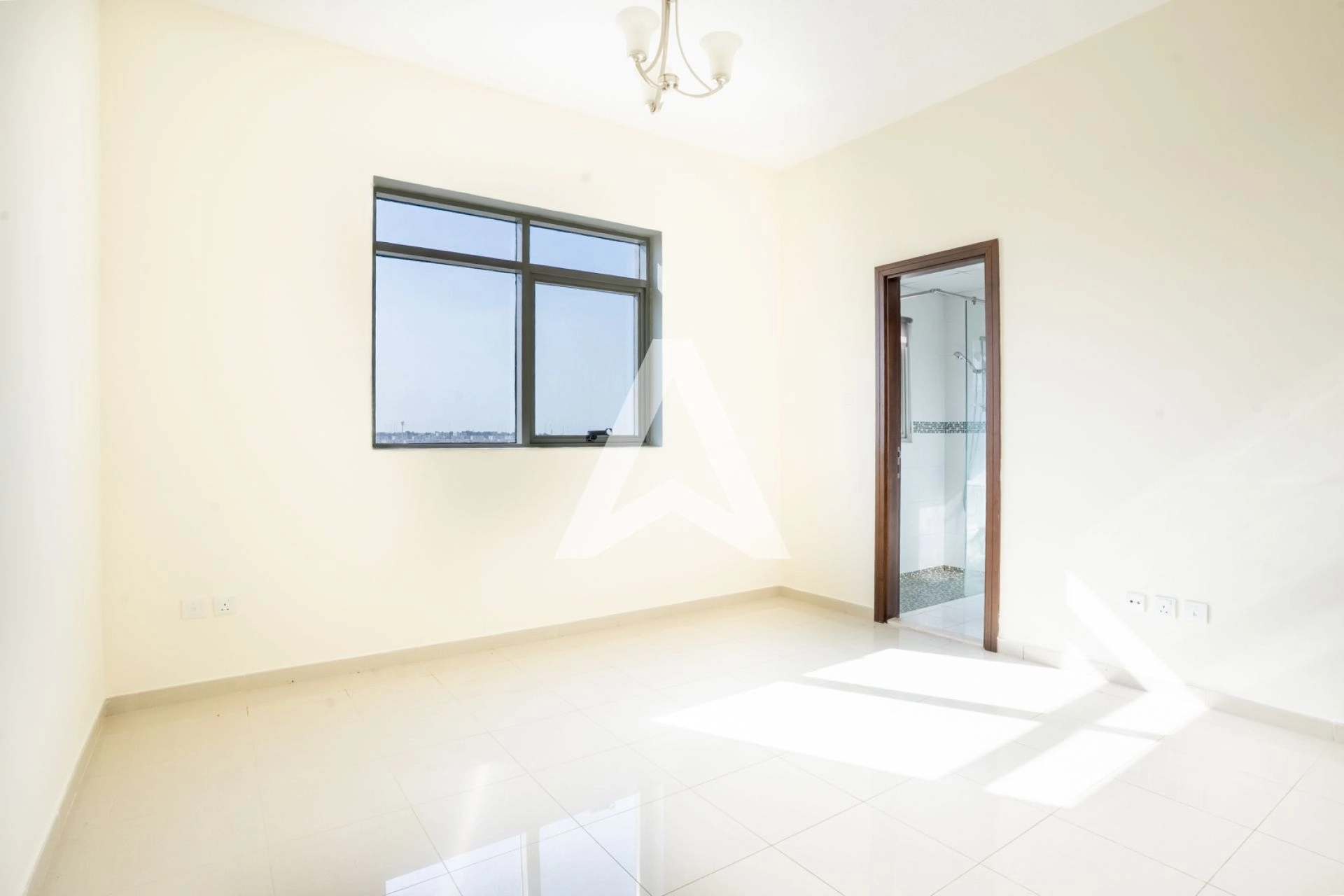 Displayed image from the thumbnail slider