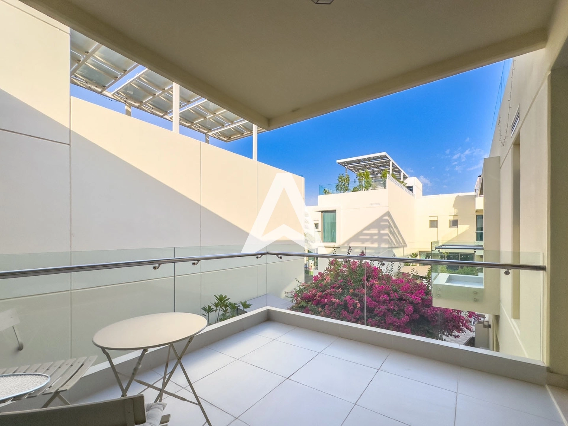 Displayed image from the thumbnail slider