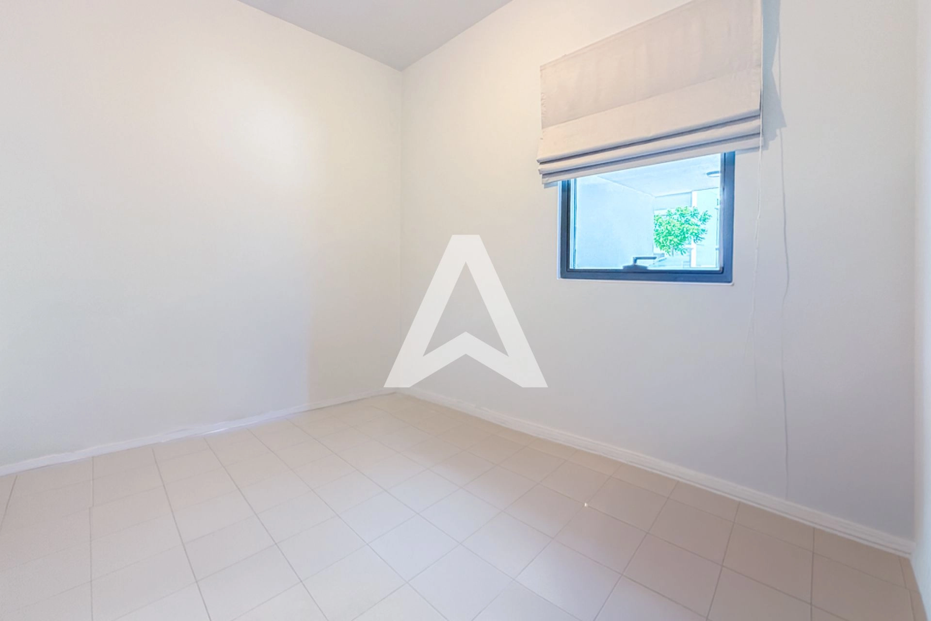 Displayed image from the thumbnail slider