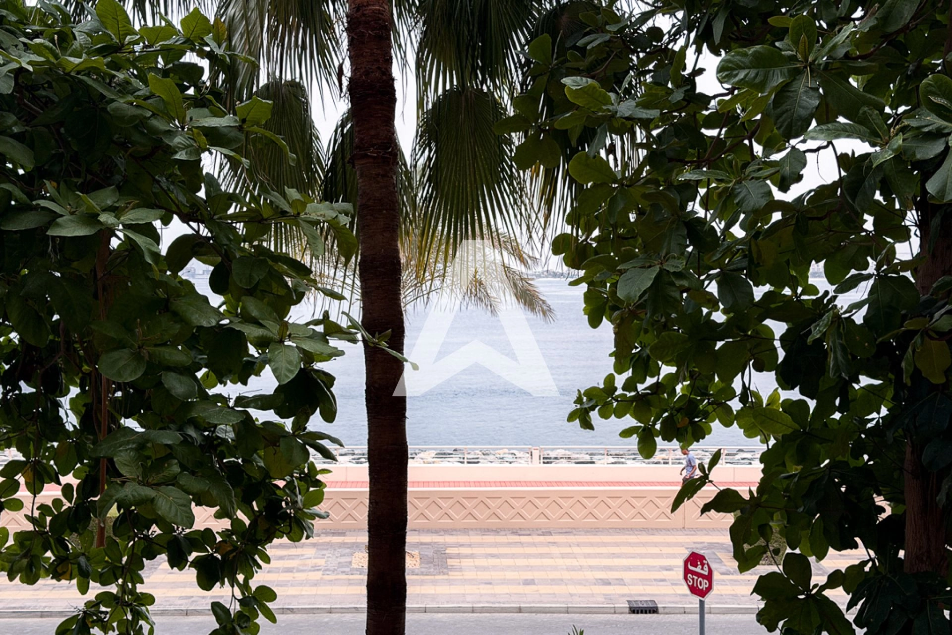Displayed image from the thumbnail slider