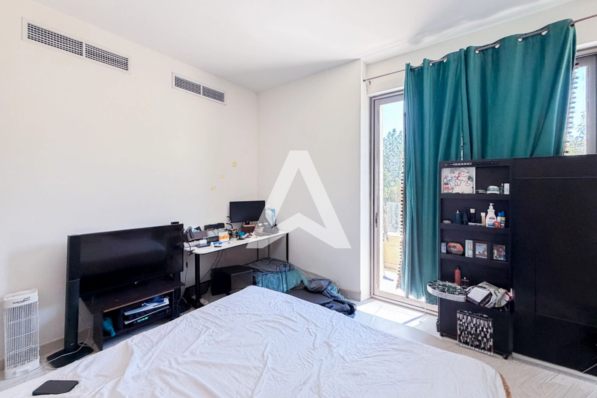 Displayed image from the thumbnail slider