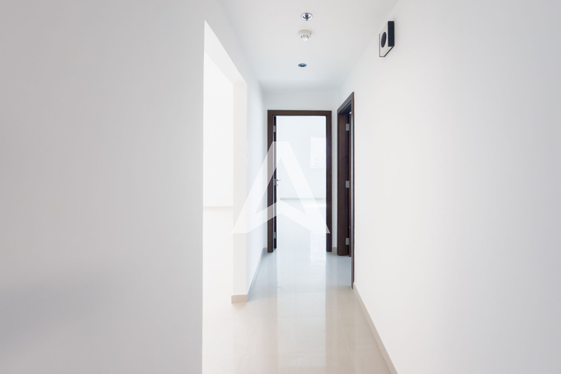 Displayed image from the thumbnail slider