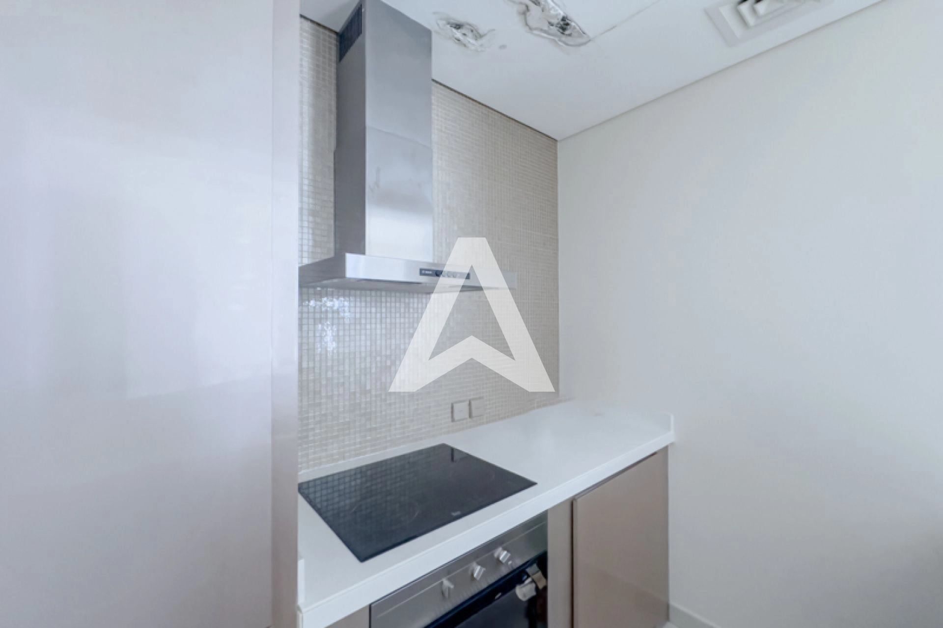 Displayed image from the thumbnail slider