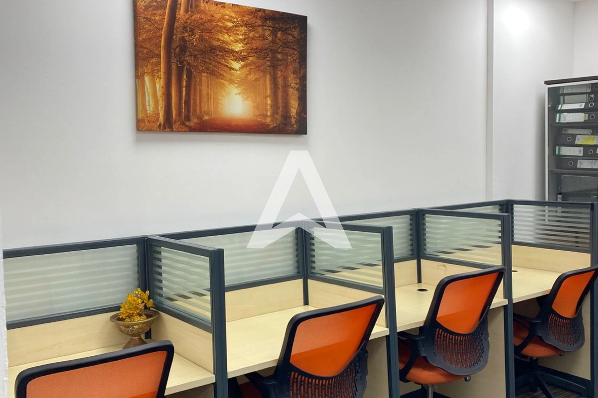 Displayed image from the thumbnail slider