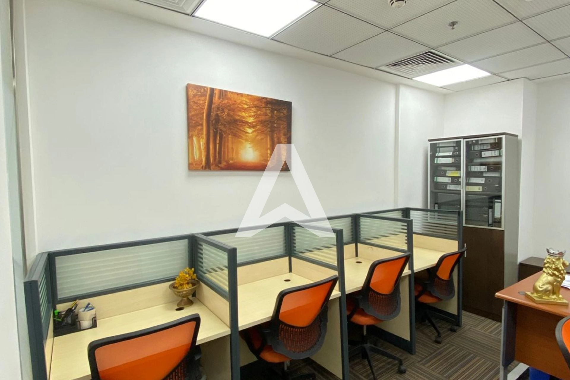 Displayed image from the thumbnail slider