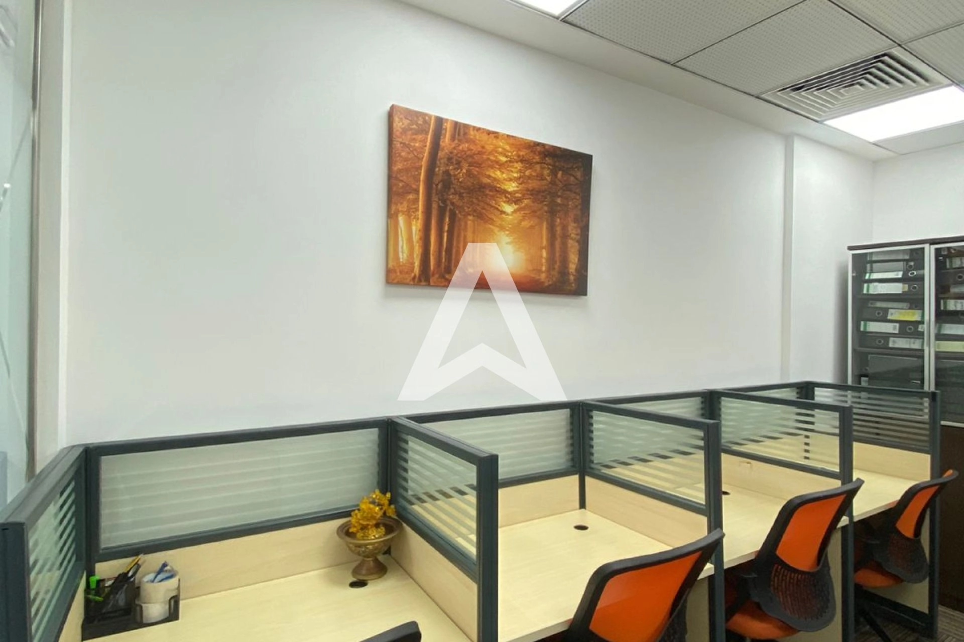 Displayed image from the thumbnail slider