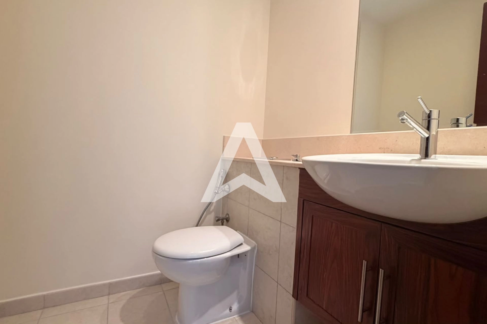 Displayed image from the thumbnail slider