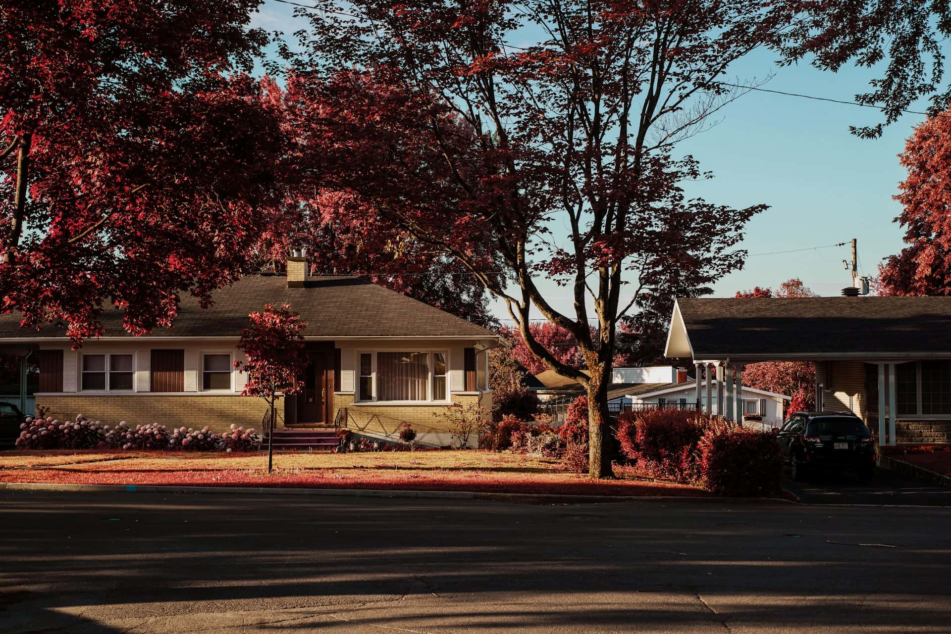 Quiet suburban street with single-story houses, red-leaved trees, and a black car parked in a driveway under a carport.