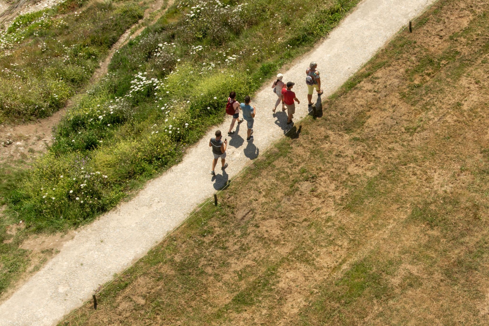 An aerial view showing a group of people wearing casual clothing walking along a dirt trail through a grassy field.