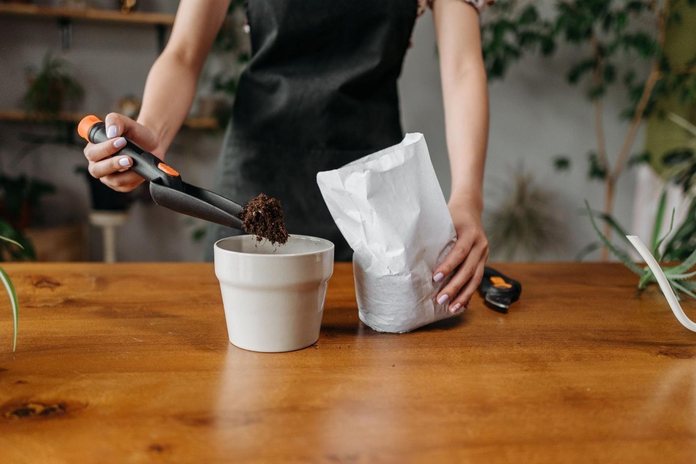 A person wearing a black apron using a hand scoop to fill a white ceramic planter pot with soil on a table.