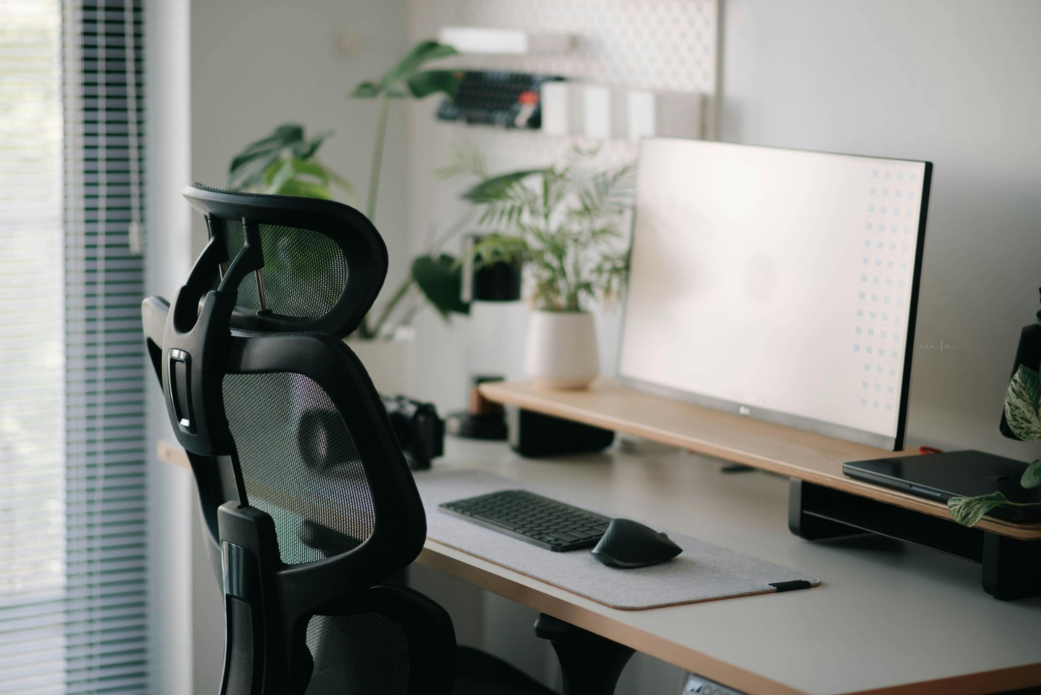 A black mesh chair sits at a white desk with a monitor on a wooden stand, a keyboard, mouse, and several potted green plants.