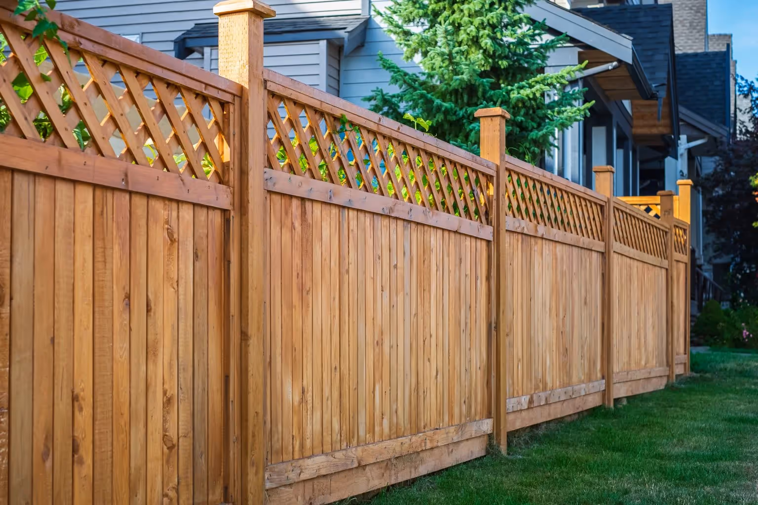 privacy fence in yard