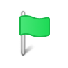 green flag icon