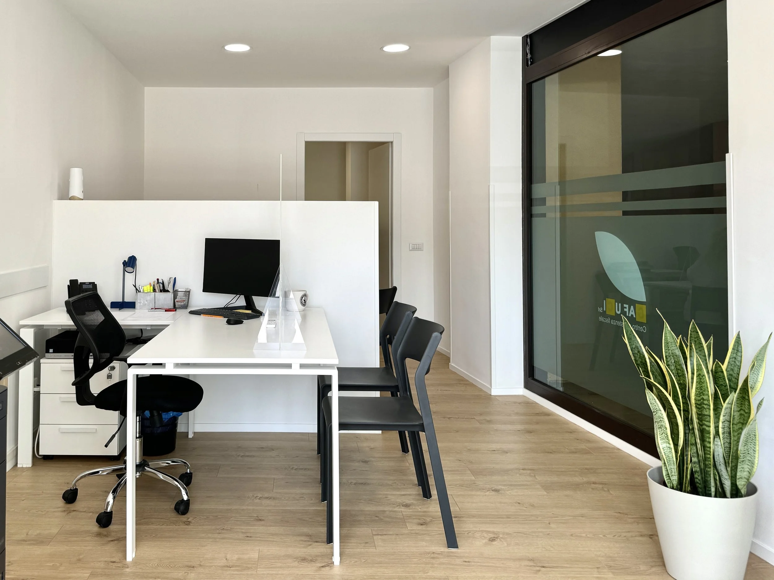 Ufficio moderno con scrivanie bianche, sedie nere, monitor del computer e una grande pianta di sansevieria in vaso vicino a una grande finestra.