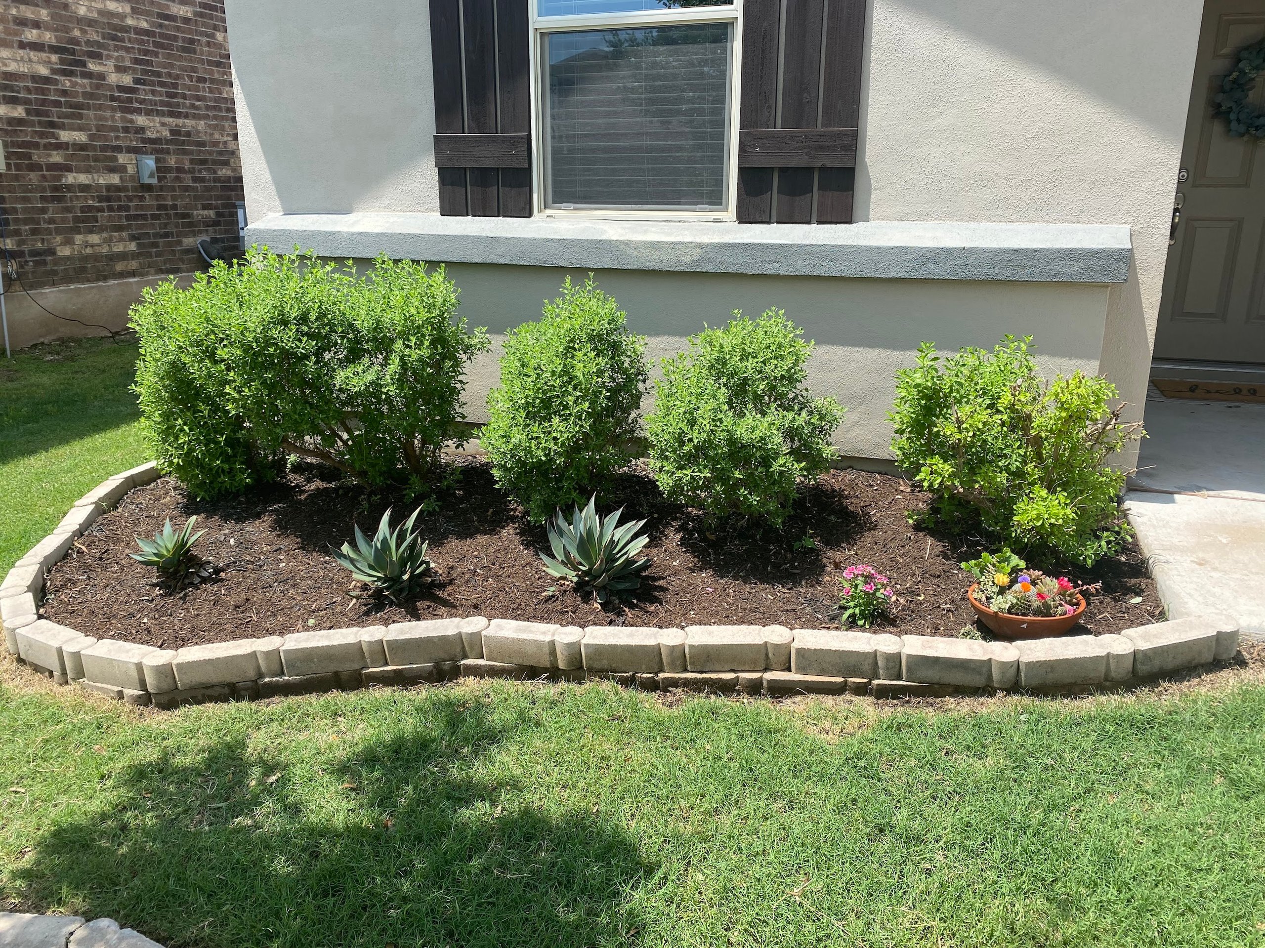 Front garden bed with neatly trimmed green shrubs, small agave plants, and a terracotta pot with colorful flowers bordered by light stone blocks in front of a beige house.