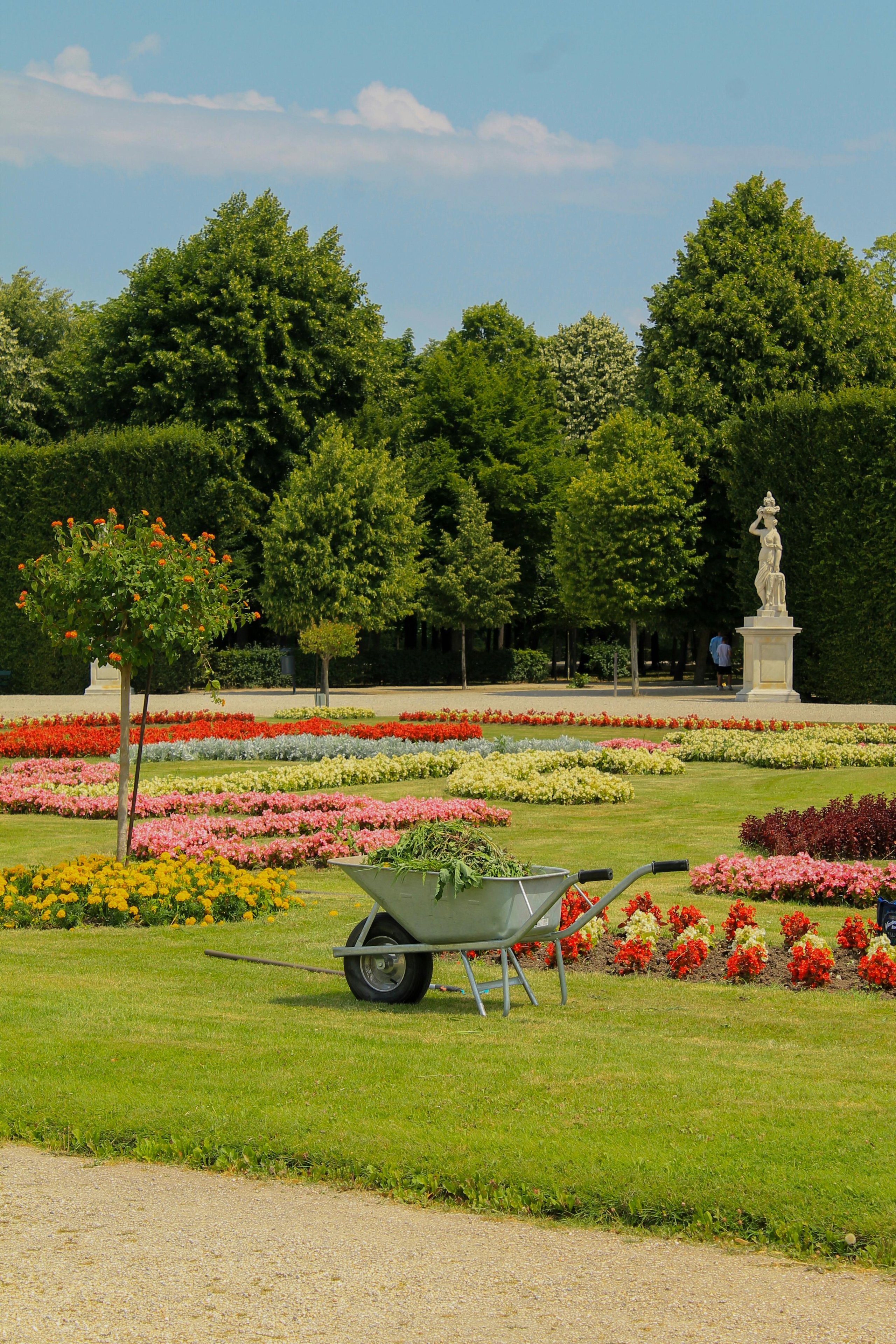 Wheelbarrow filled with garden clippings on lawn with colorful flower beds and trees in a formal garden.
