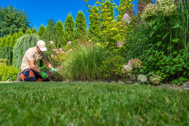 Person wearing gloves and a cap kneeling on grass while gardening next to lush green plants and a clear blue sky.