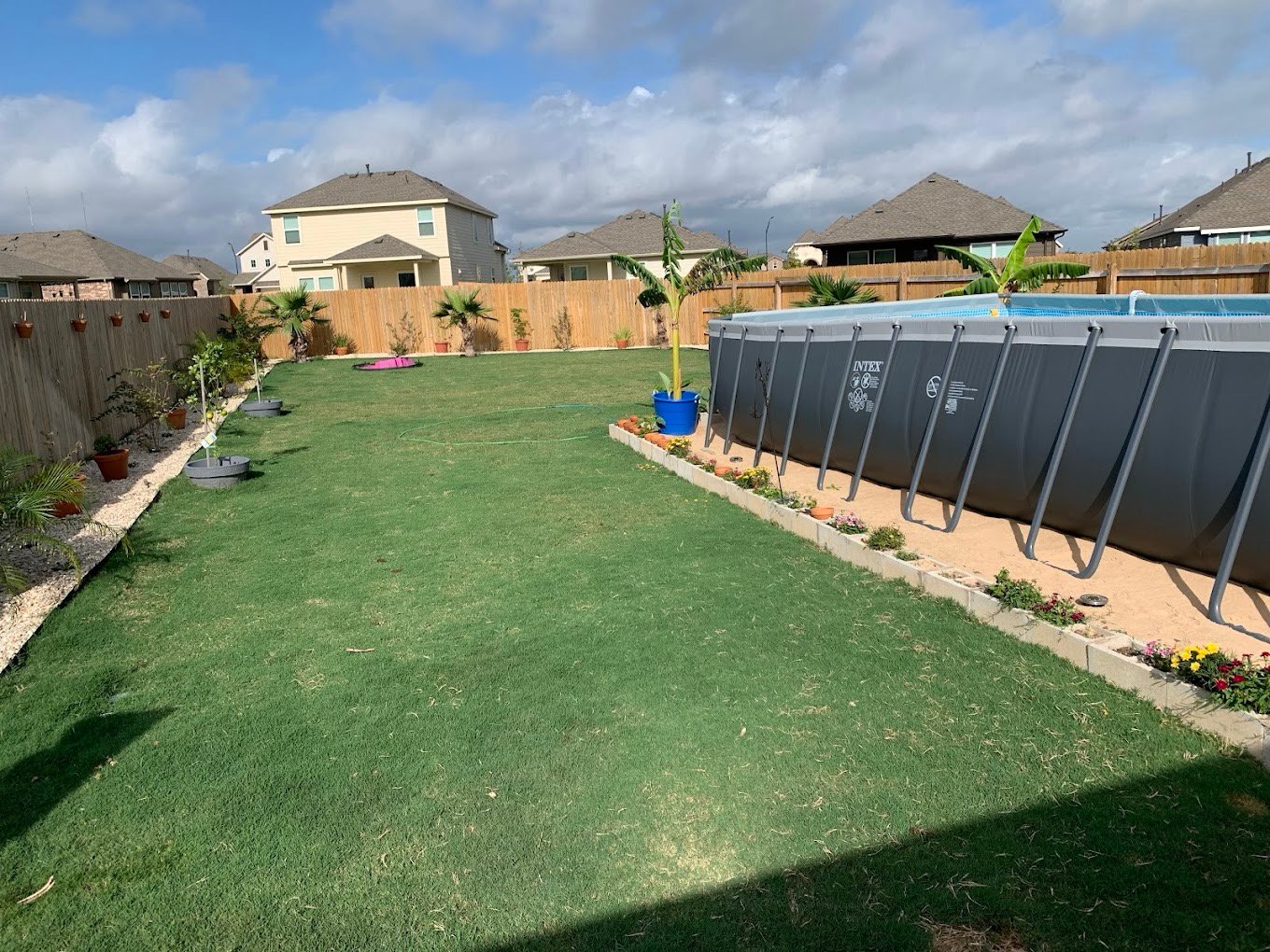 Backyard with green lawn, above-ground pool, potted plants, and houses under a partly cloudy sky.