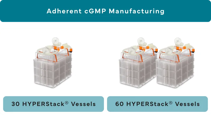 Adherent cGMP Manufacturing equipment