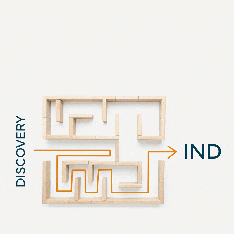 Andelyn Maze animation