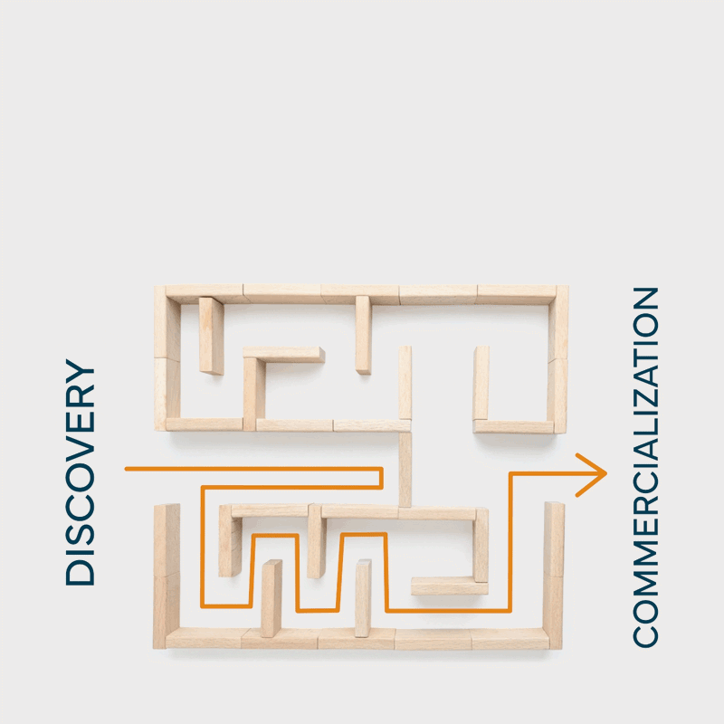 Andelyn Maze animation