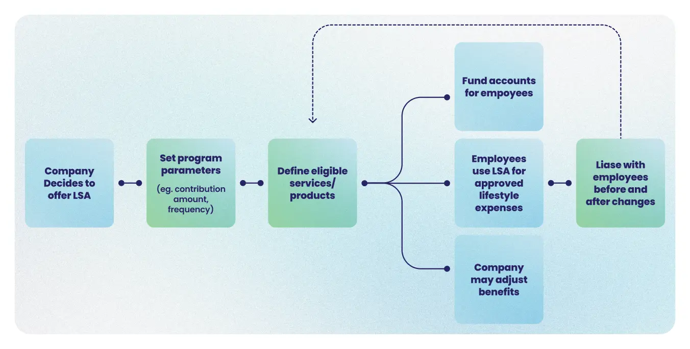 Employer LSA program setup flowchart showing steps from company decision to employee spending and benefit adjustments