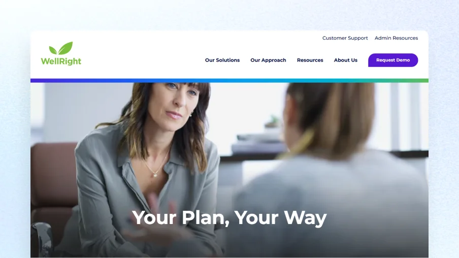 Employer LSA program setup flowchart showing steps from company decision to employee spending and benefit adjustments