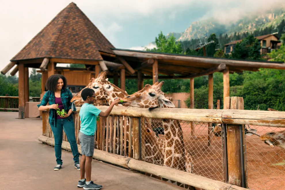 Cheyenne Mountain Zoo: America’s Only Mountain Zoo
