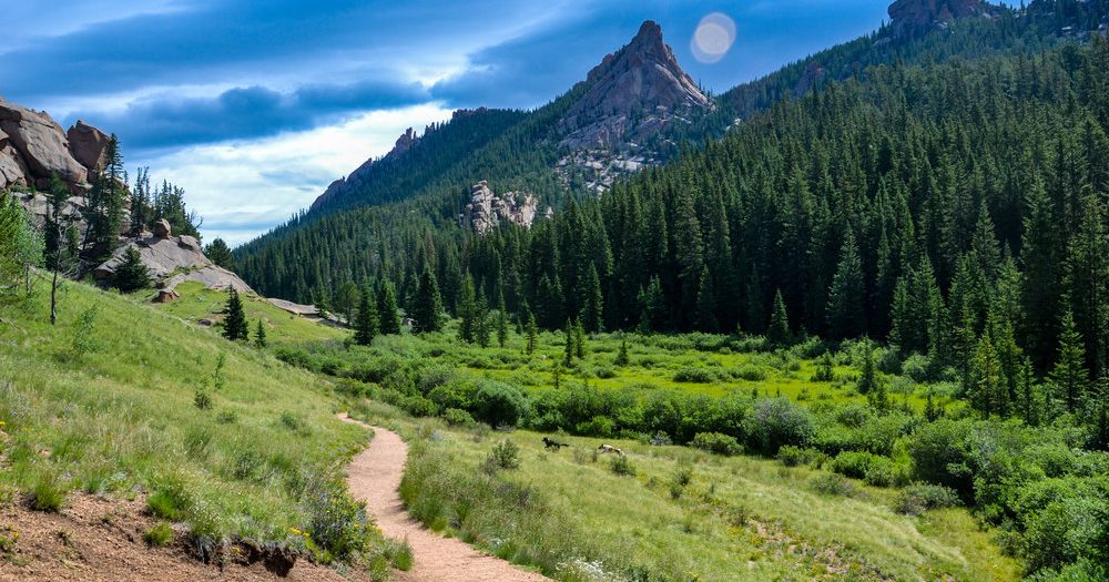 Best Hikes in Colorado Springs: A Local’s Guide to the Outdoors
