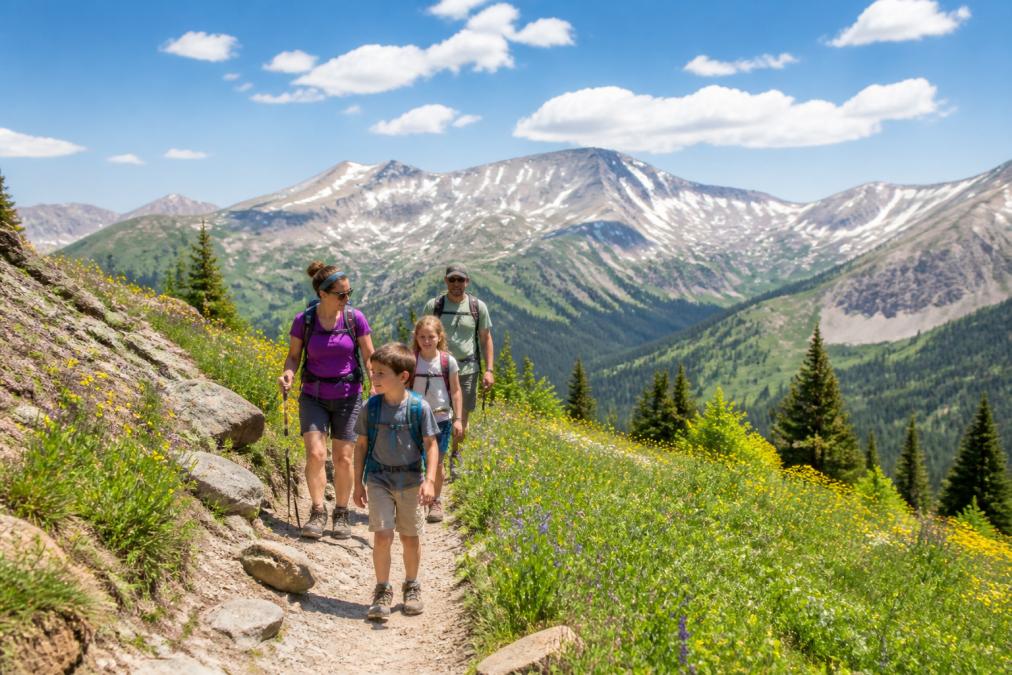 Family hiking on scenic mountain trail with alpine scenery and wildflowers in background, showcasing outdoor adventure during peak season with clear blue sky