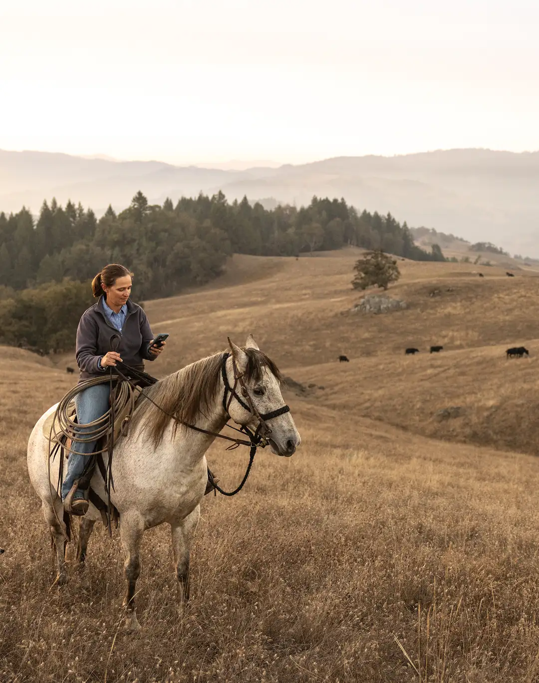Female rancher on horse back