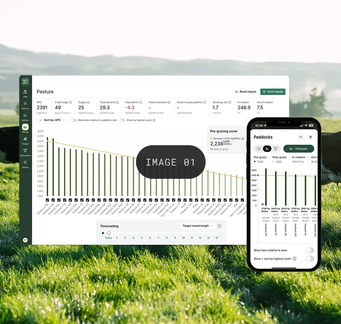Halter for web dashboard