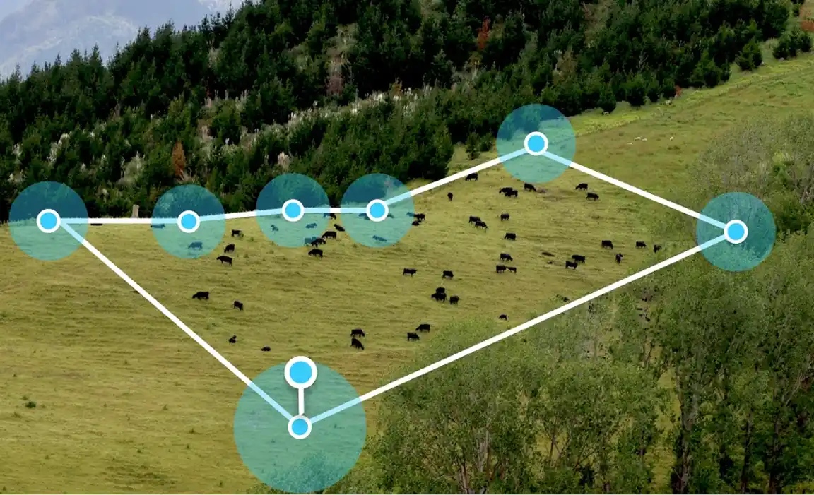 Virtual fence depiction within a paddock