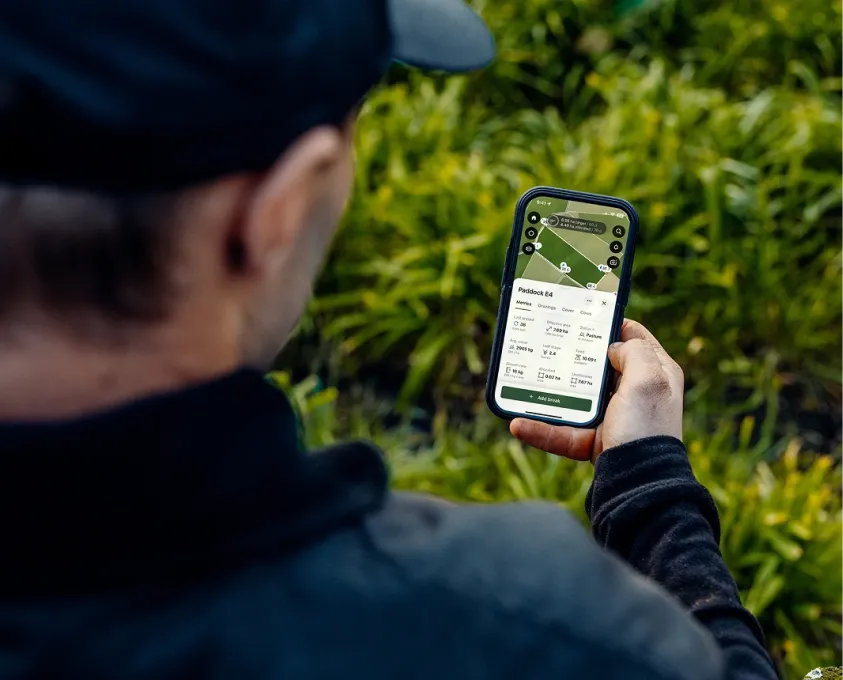 Person holding a smartphone displaying the Halter app with a digital paddock map and livestock tracking interface outdoors.
