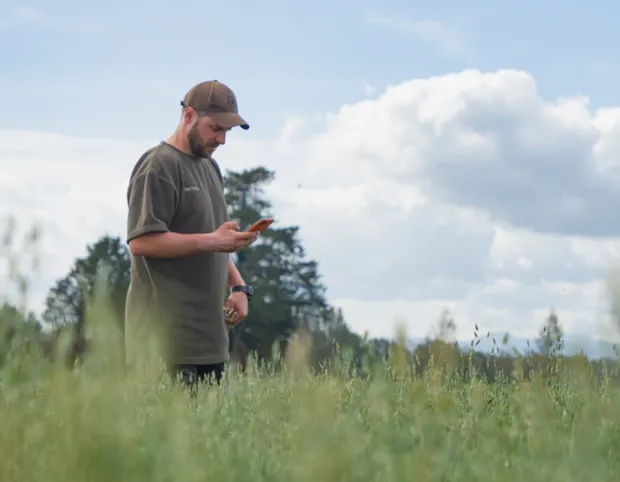 A farmer stands in a field of tall grass, looking at a smartphone in one hand, with blue sky and trees in the background.