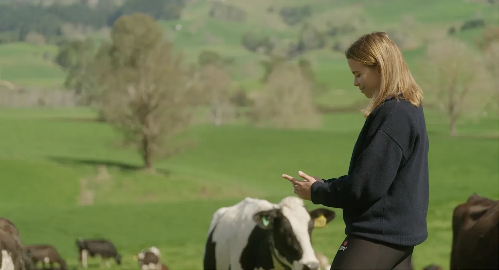 Woman in a dark sweater standing in a green field using a smartphone, surrounded by dairy cows and rolling farmland in the background.
