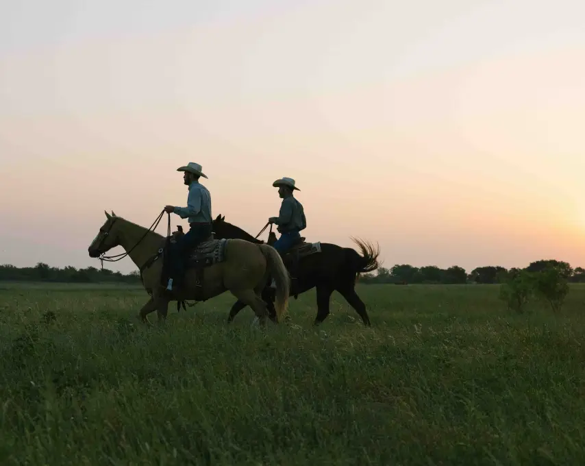 Two ranchers on horseback ride side by side through tall grass at sunset, silhouetted against a soft pink sky.