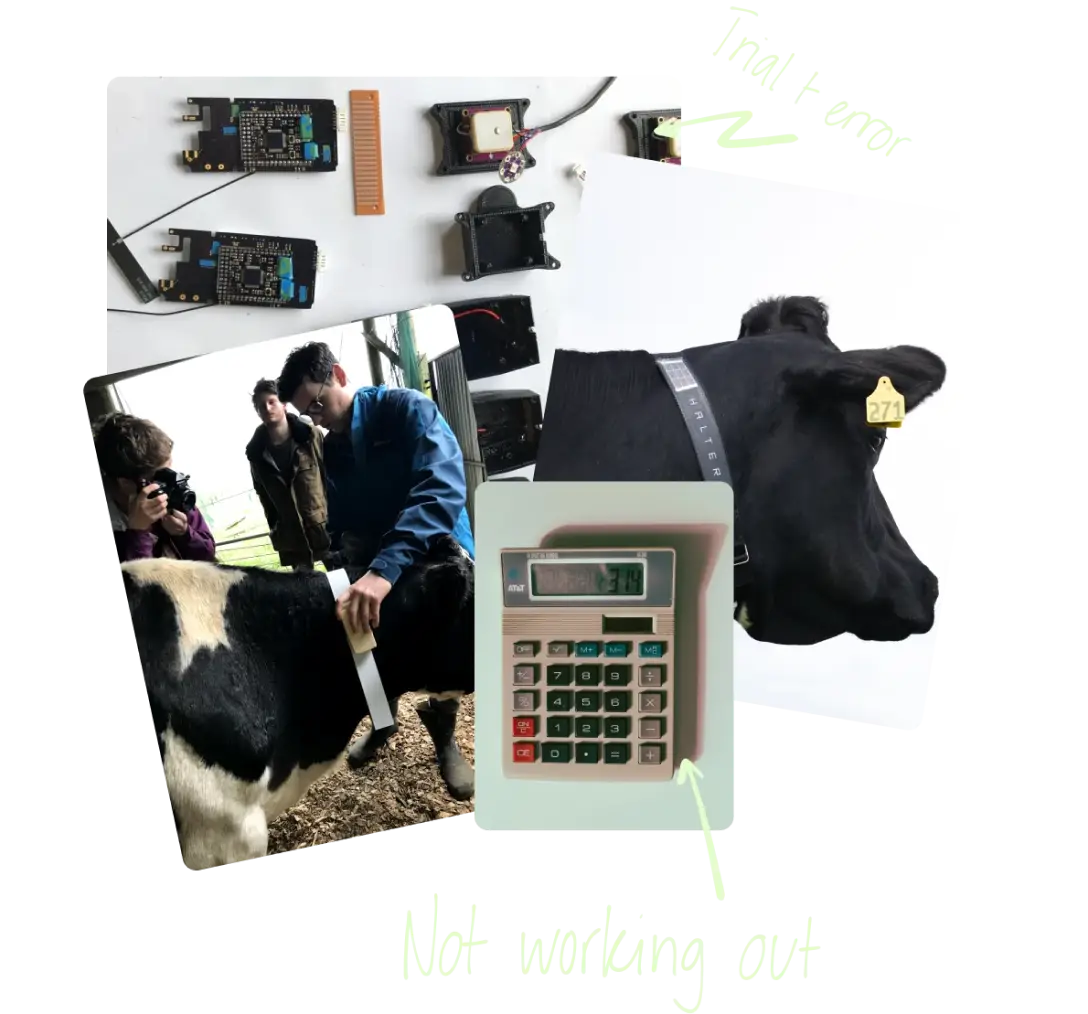 "A collage showing early prototyping of Halter’s technology: close-up shots of hardware components, a team member fitting a collar on a cow, a cow wearing a labeled Halter collar, and a calculator with the caption “not working out.”
